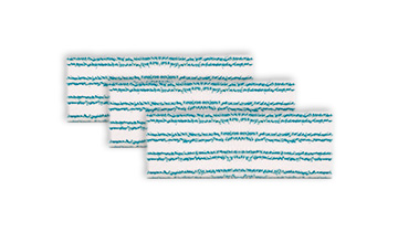 Polti Vaporetto: drei Bodenreinigungstücher