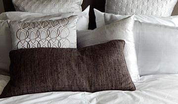 polti cimex eradicator sofort nutzbar