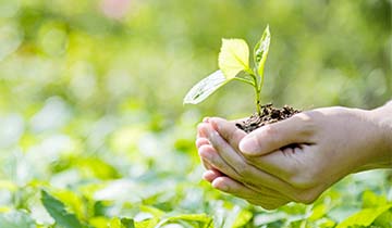 Energie nicht verschwenden