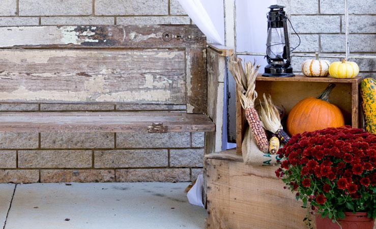 Porta in casa i profumi dell’autunno