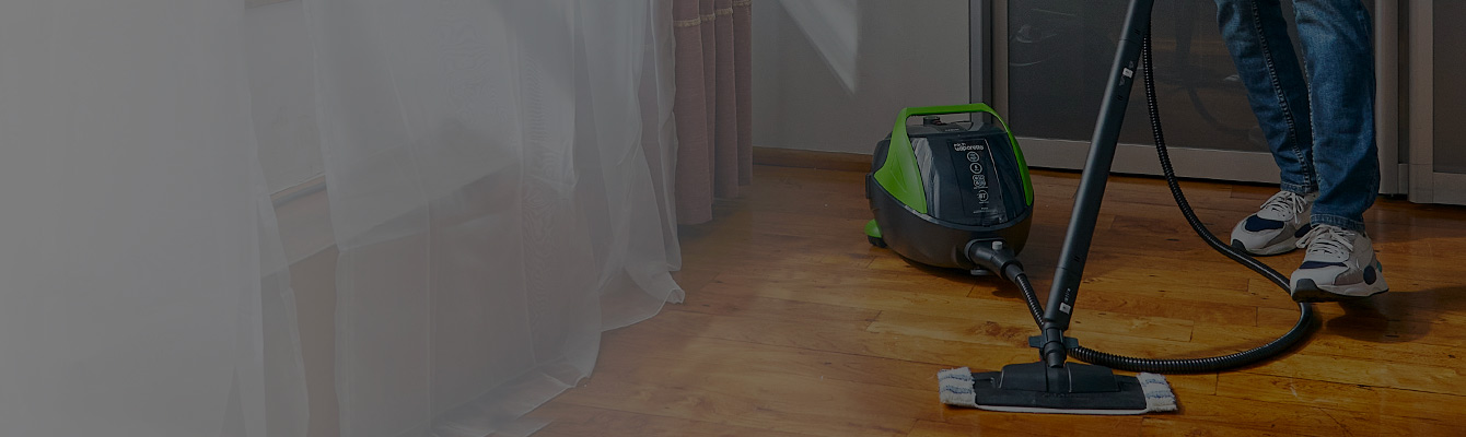 Vaporetto ist nur Polti