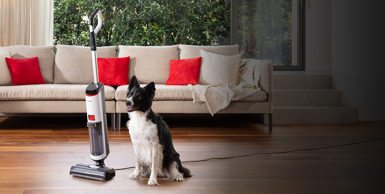 Nass- und Trockenreinigungsmopp mit einem Hund 