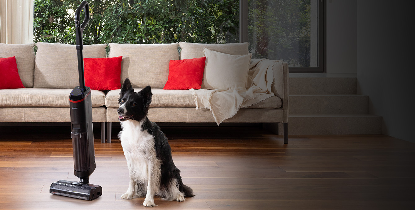 Nass und Trockenreinigungsmopp mit einem Hund 