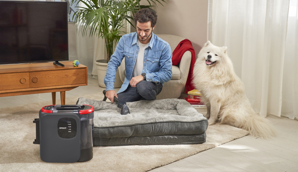 Bodenreinigung mit einem Hund