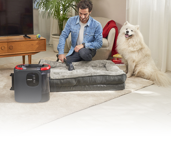 Das Bild zeigt Polti Stainover